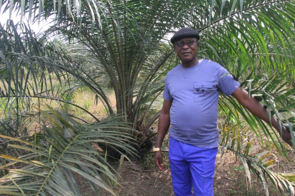 How Oil and Gas entrepreneur is driving agricultural transformation in his community